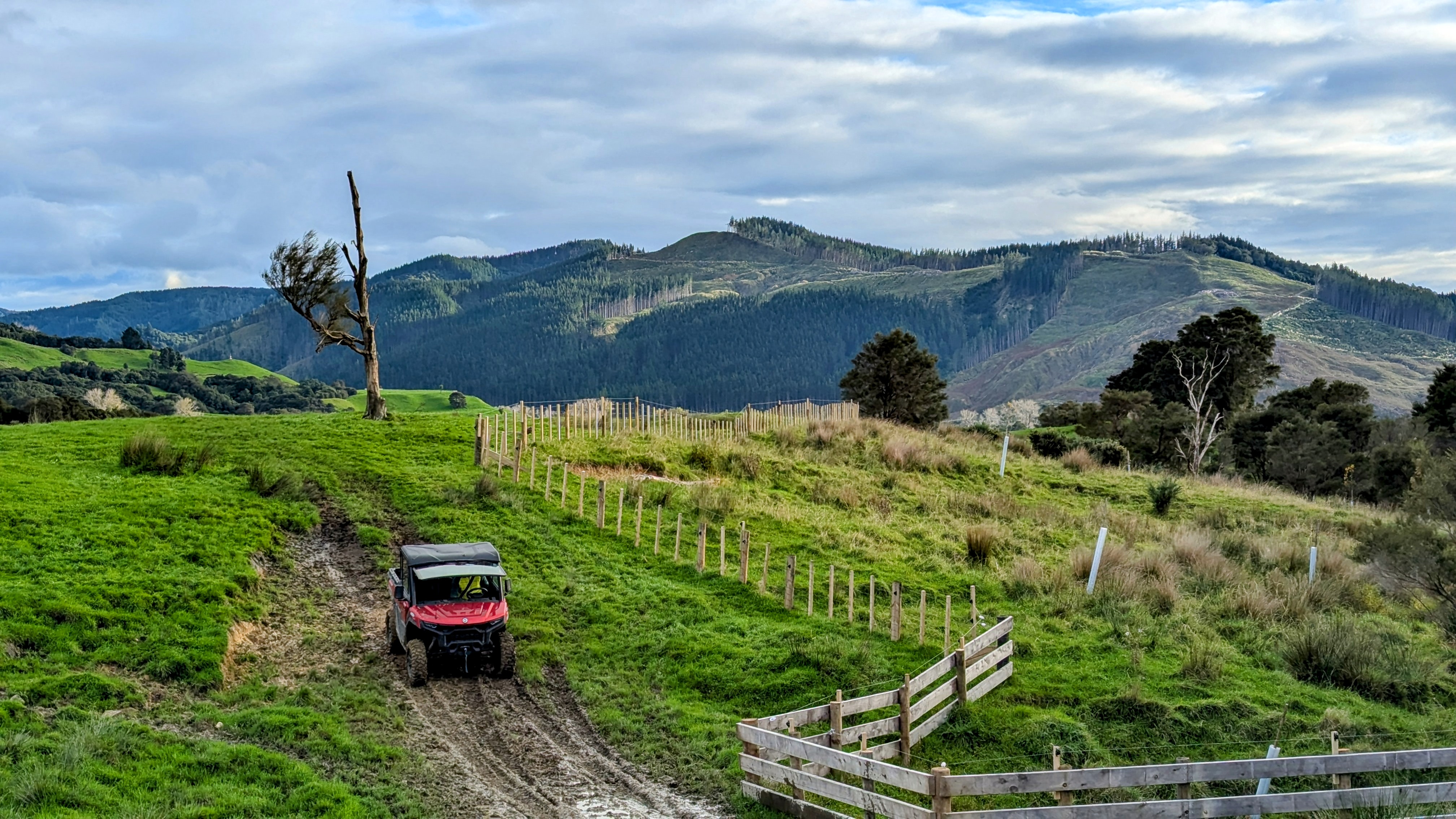 farm-1 — station homestead