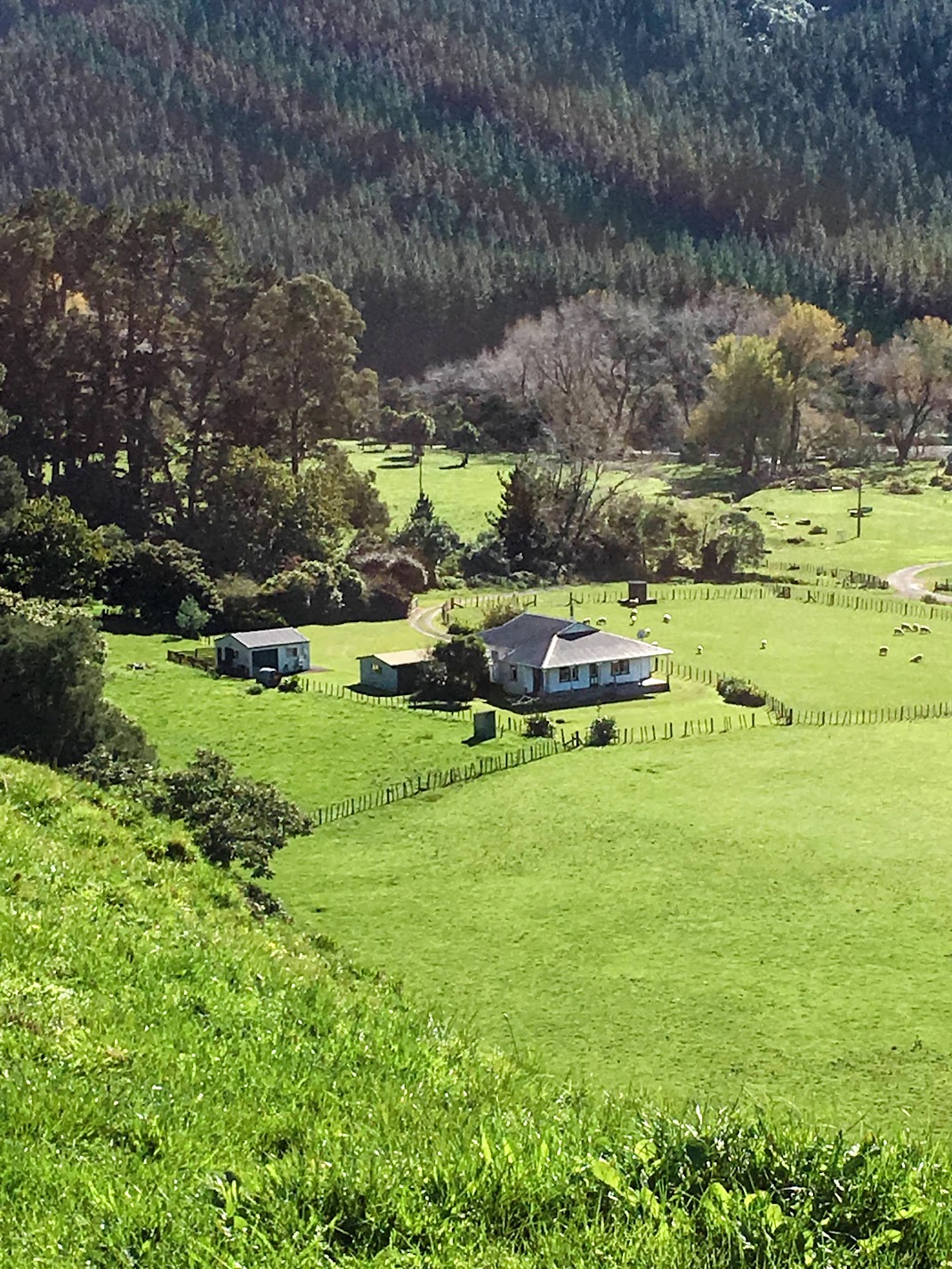 farm-2 — homestead valley