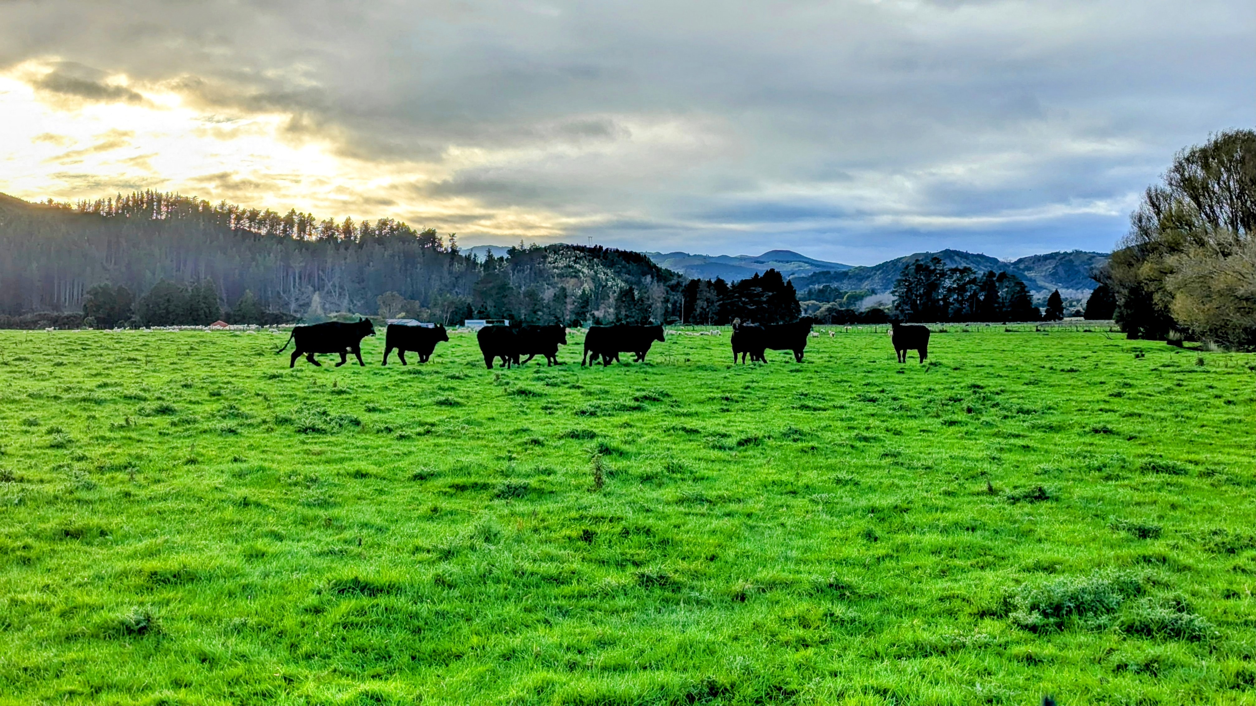 farm-4 — wide landscape