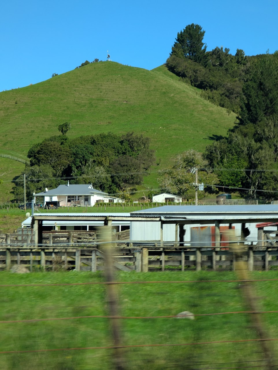 farm-6 — homestead valley