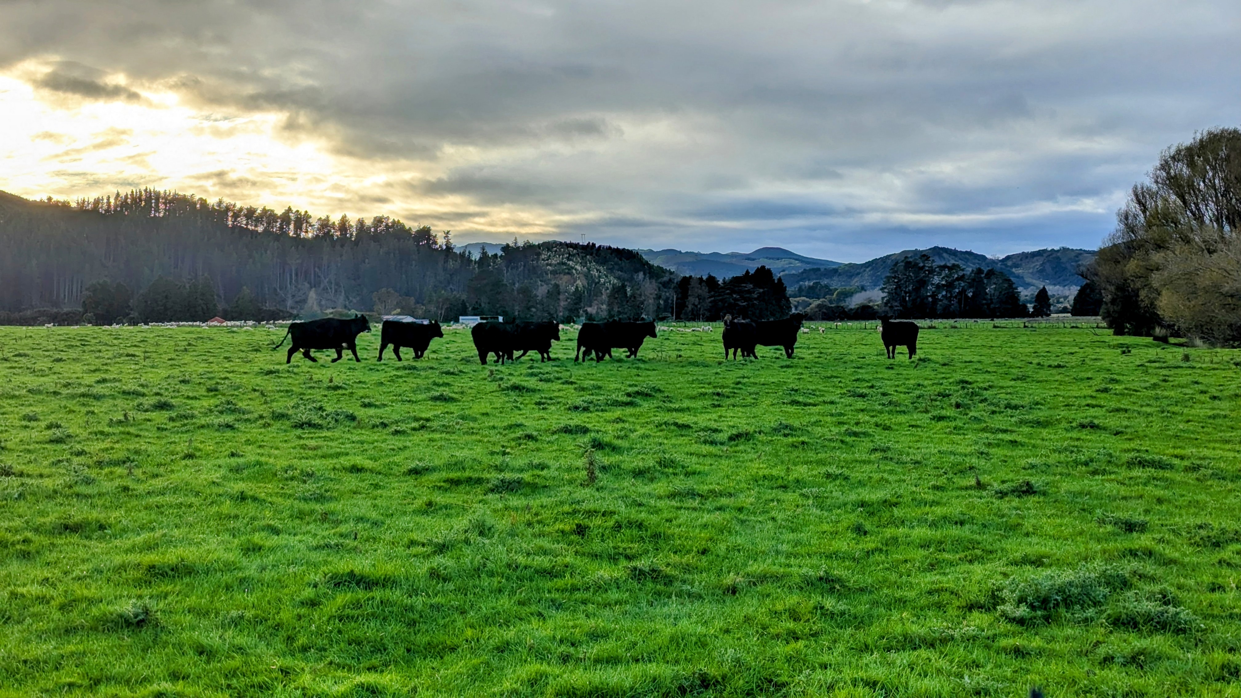 Farm operations
